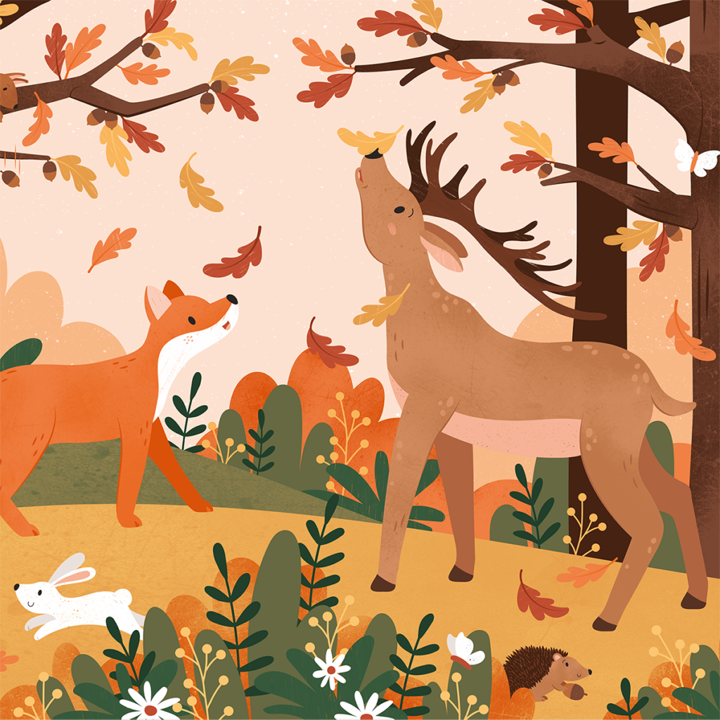 portfolio knoppen illustraties herfst