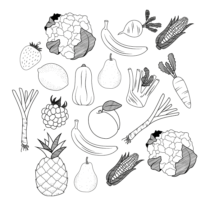 Illustratie groente Studio Kikor